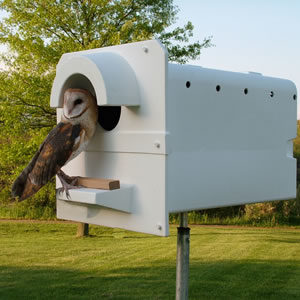 The Pole Model Barn Owl Box made by the Barn Owl Box Company of molded plastic