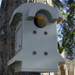 Screech Owl Box