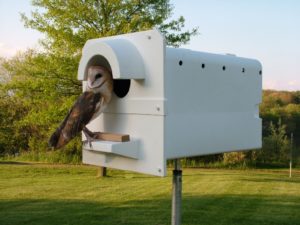 SPOTTED OWL NESTING BOX VET'S 1 UNIT=BY.M Holley/MADE BY U.S.A BARN OWL HOUSE 