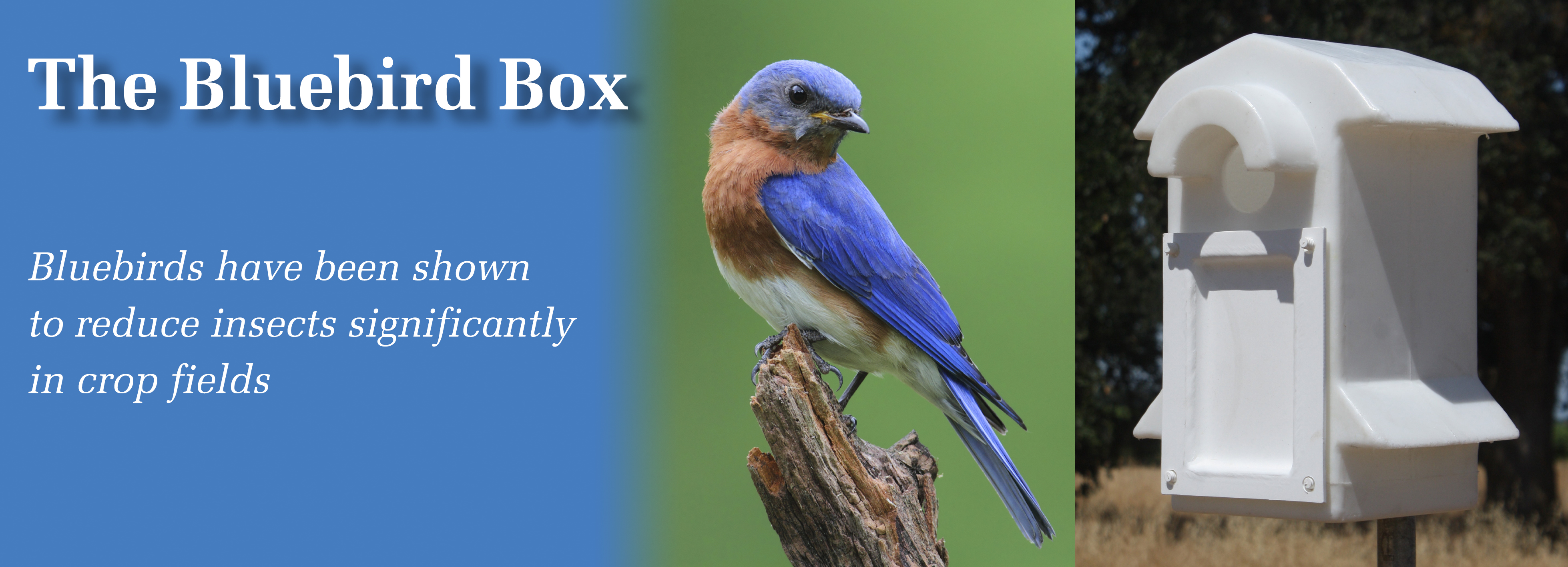 Bluebird House &amp; Nest Box Molded plastic Barn Owl Box 
