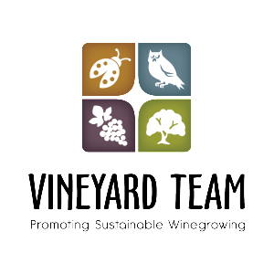 Vineyard Team logo _2013-01