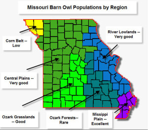 Missouri Barn Owl Populations by Region and County