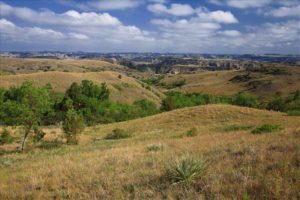 N.D. grasslands provide excellent habitat for barn owls