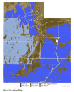 Barn owls in Utah are common in many areas