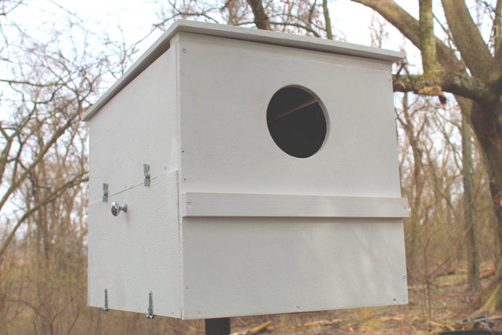 Barred Owl House Perfect to Mount on High Trees W/ Side Opens for Easy Cleaning 