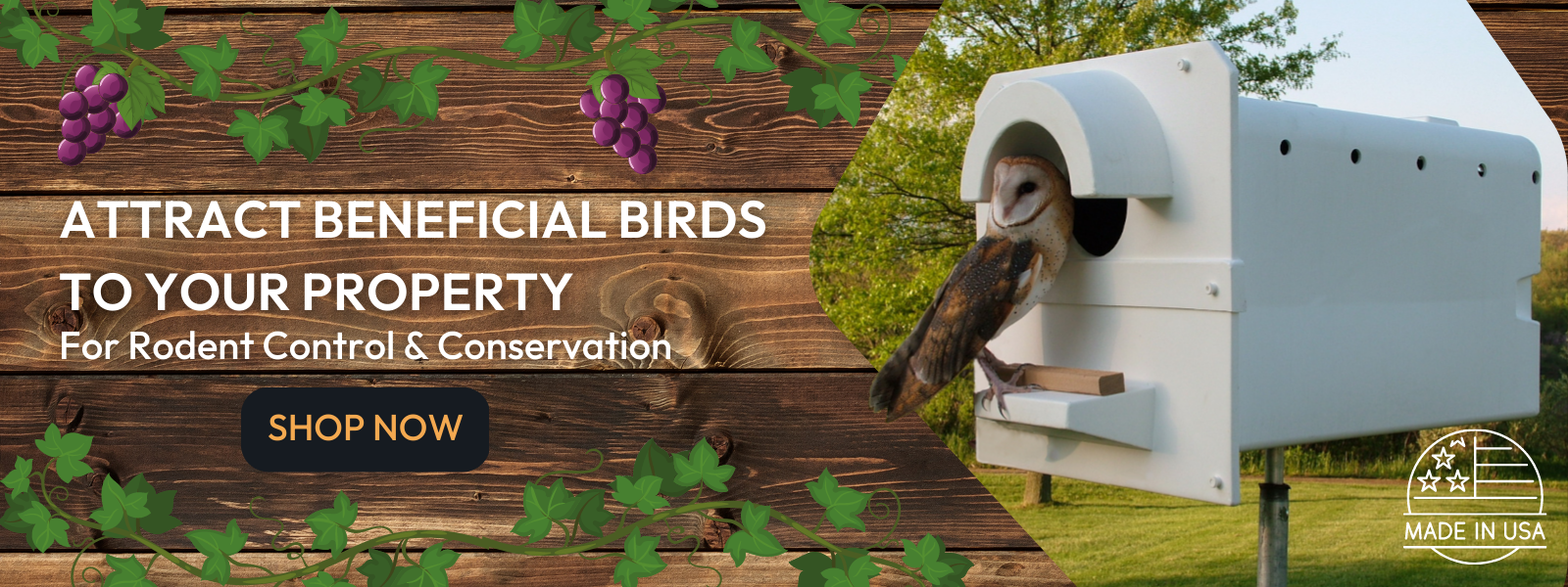 Attract beneficial birds to your property for rodent control and conservation