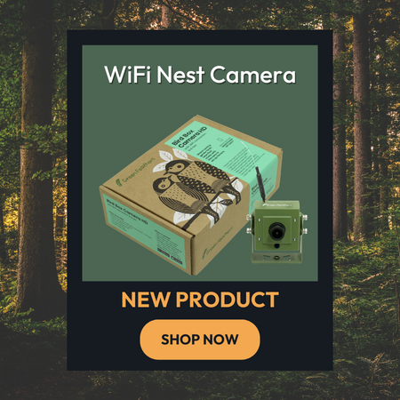 New Product. WiFi Nest Box Camera