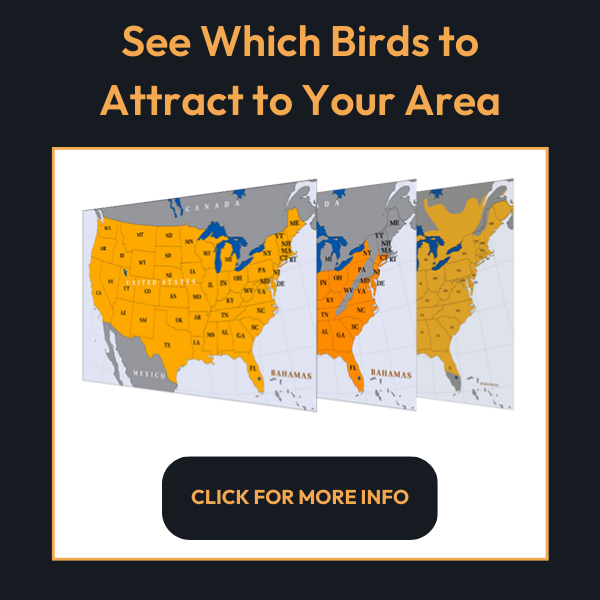 See which birds to attract to your area