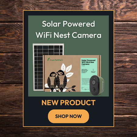 New Product announcement for Solar Powered WiFi Nest Box Camera