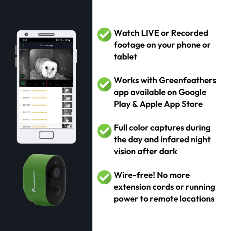 Solar Powered WiFi Nest Box Camera Barn Owl Box Company